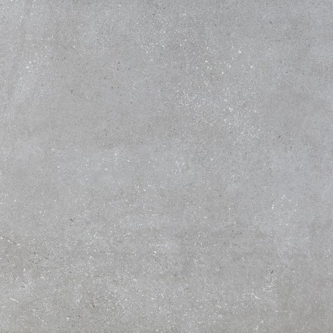 PAMESA VITA GRIS 100X100X20 mm G.1 PS