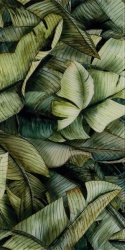 UNIWERSALNE INSERTO SZKLANE LEAF A 30X60 G1