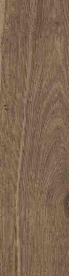 SG DUBLIN BROWN 15,5X62 G.1 SG DUBLIN BROWN 15,5X62 G.1