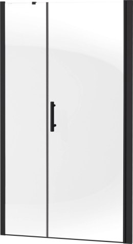 Deante Drzwi prysznicowe wnękowe 100 cm - uchylne